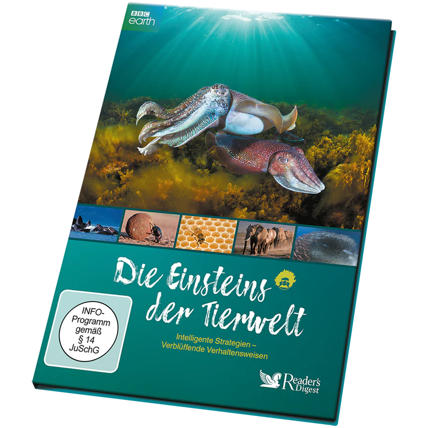 Vorschaubild 1