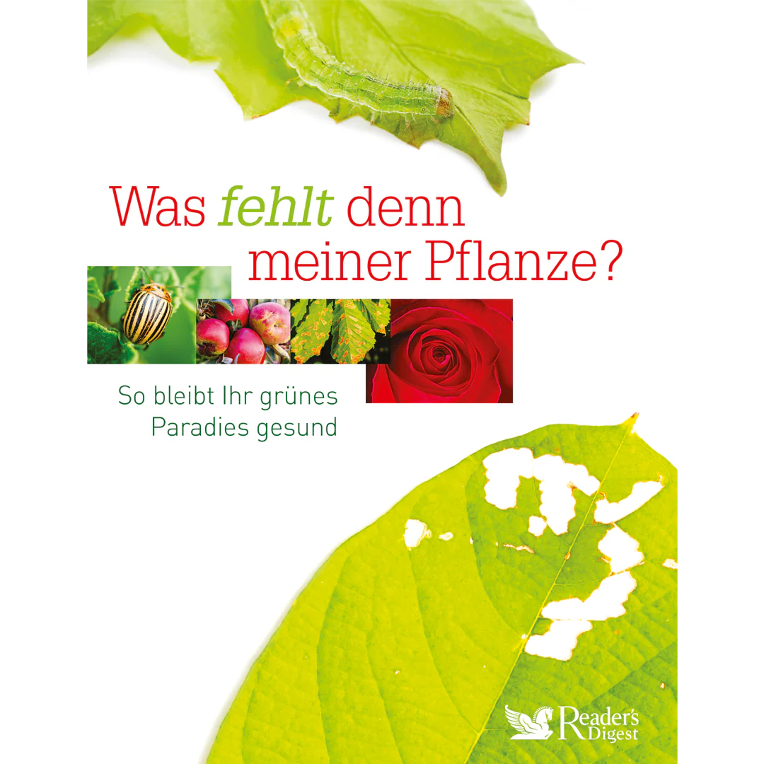 Vorschaubild 1